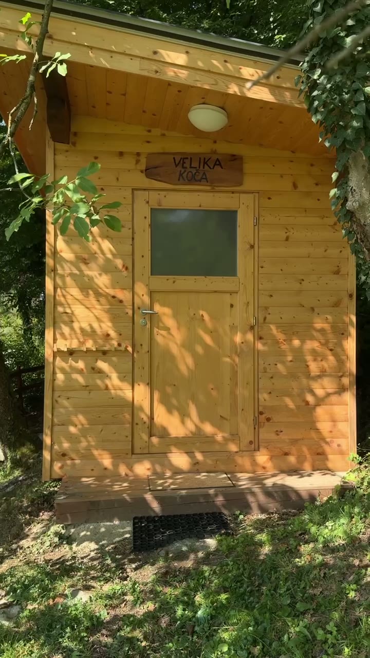 Tiho povabilo med drevesa